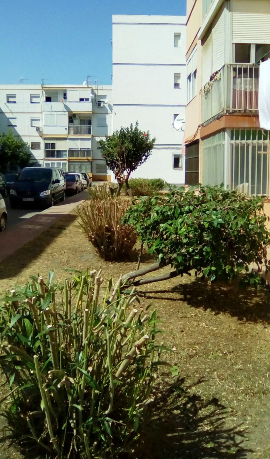 Jardinería Huerta Fava
