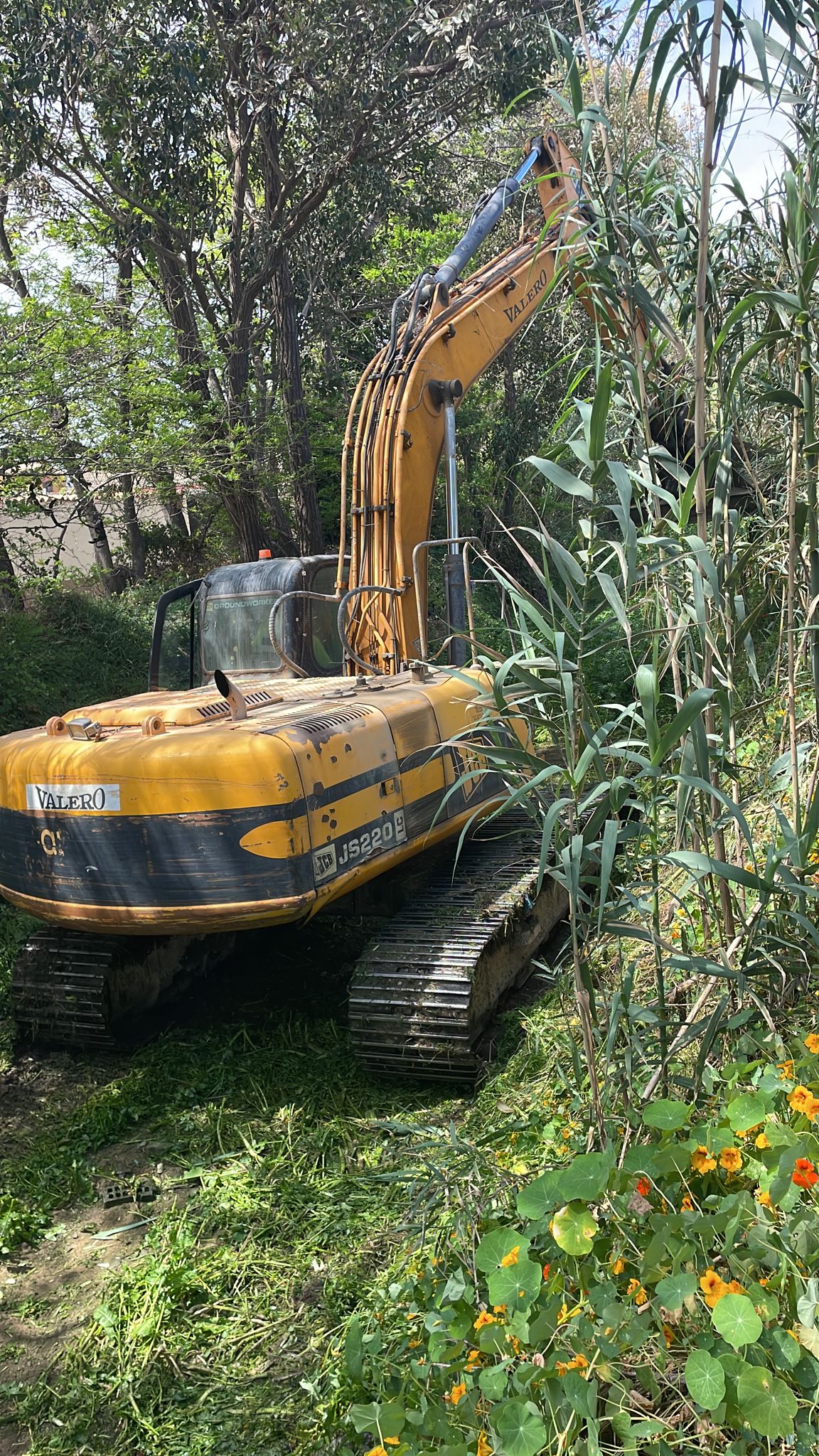 LIMPIEZA DE CANALES 1