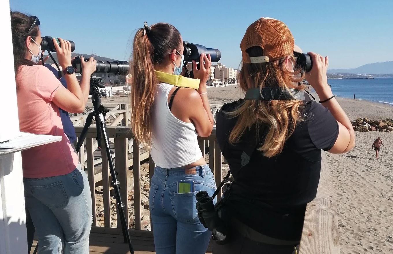 Cursos Keep the Whales 1