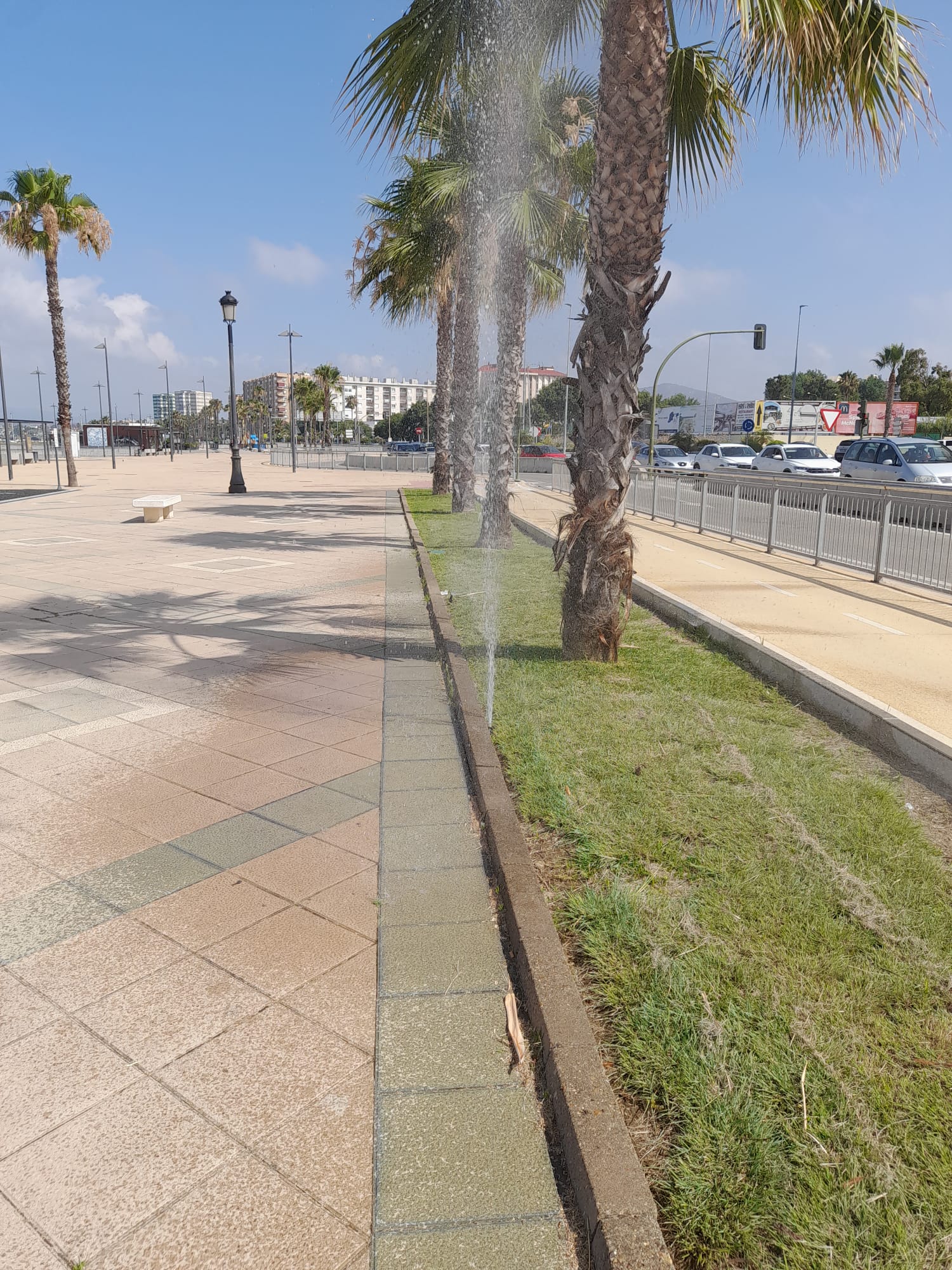 Daños sistema riego