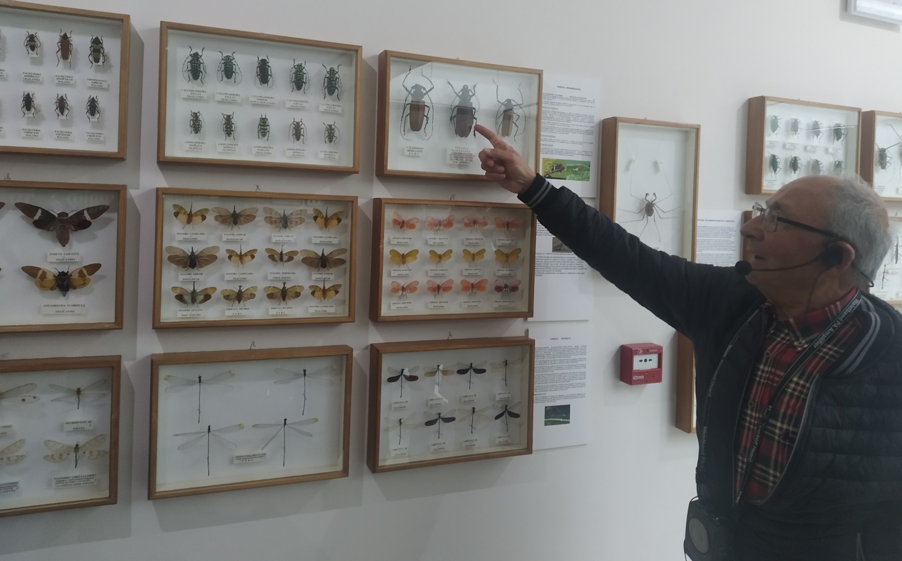 Expo entomologica 1