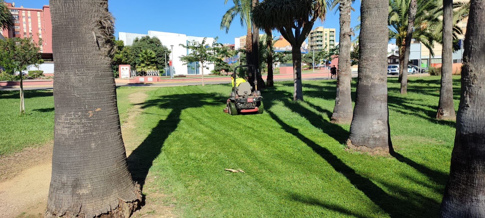 Jardineria en parque Princesa Sofia 3