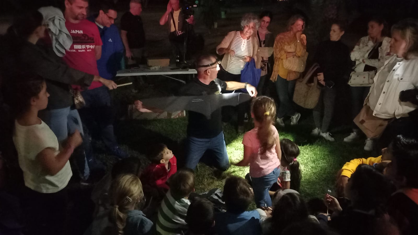 Noche de los murcielagos