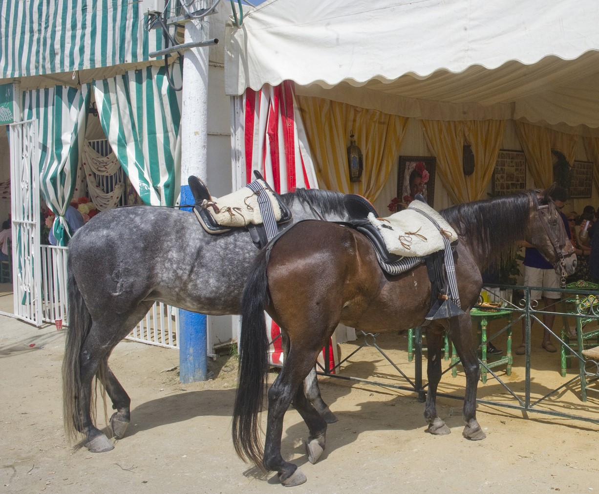 CABALLOS DOMINGO ROCIERO