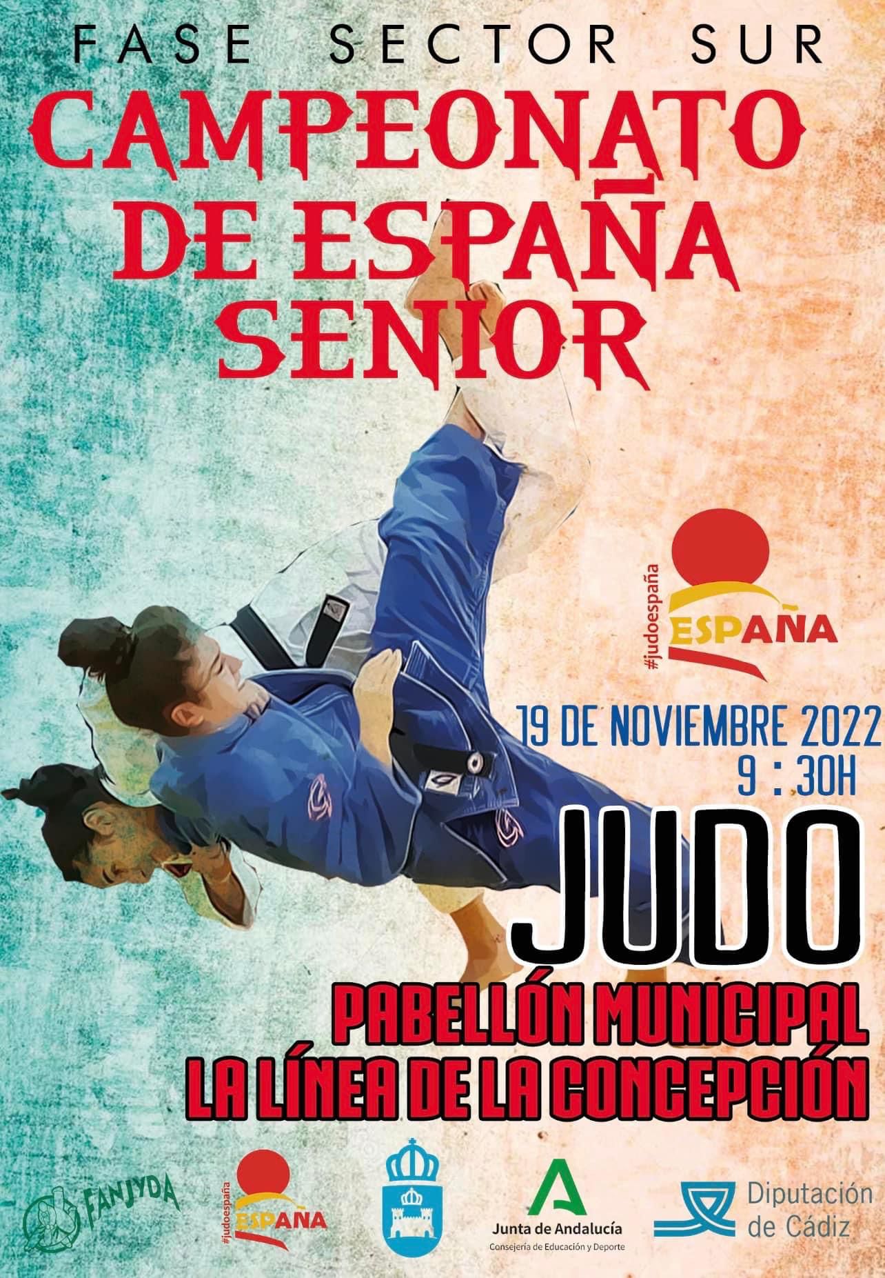 Cartel Judo Ca España sector sur
