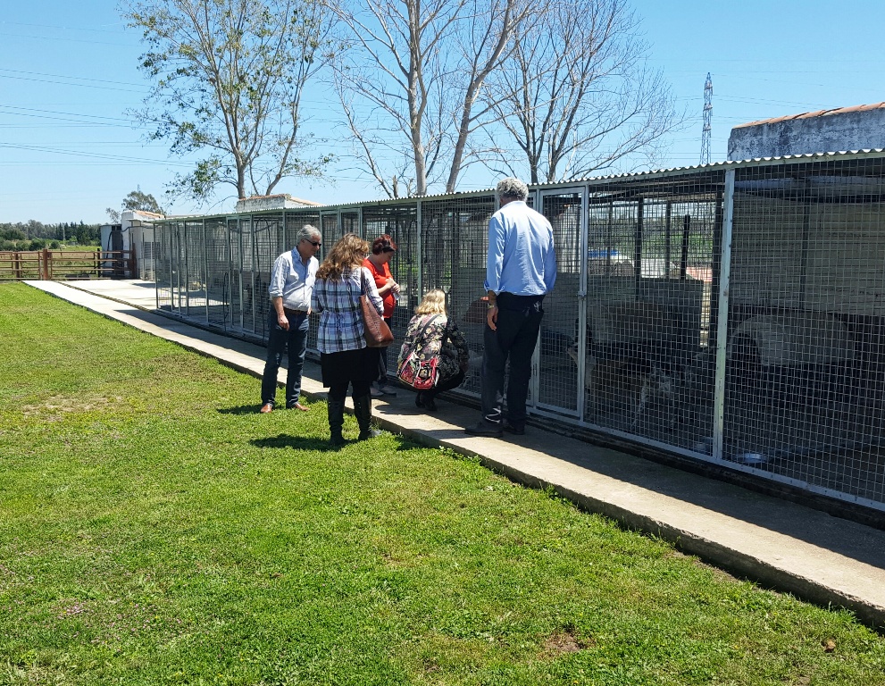 Control Zoosanitario