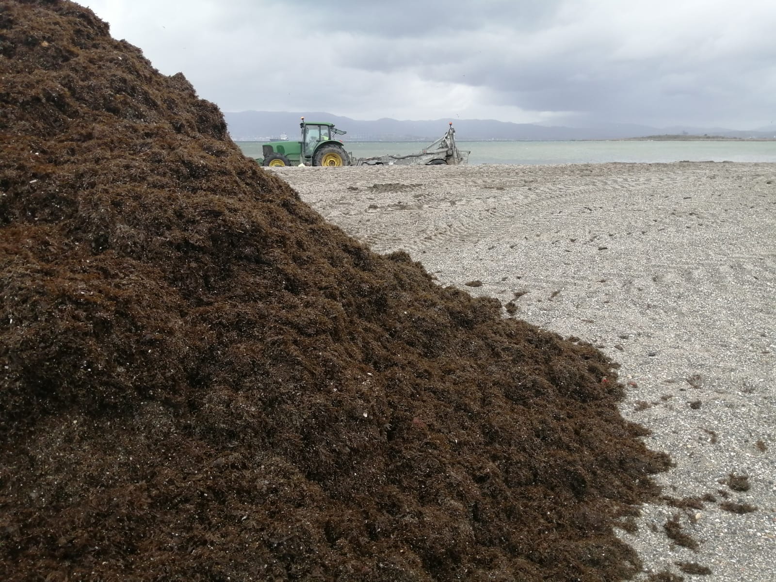 Limpieza algas Poniente 1