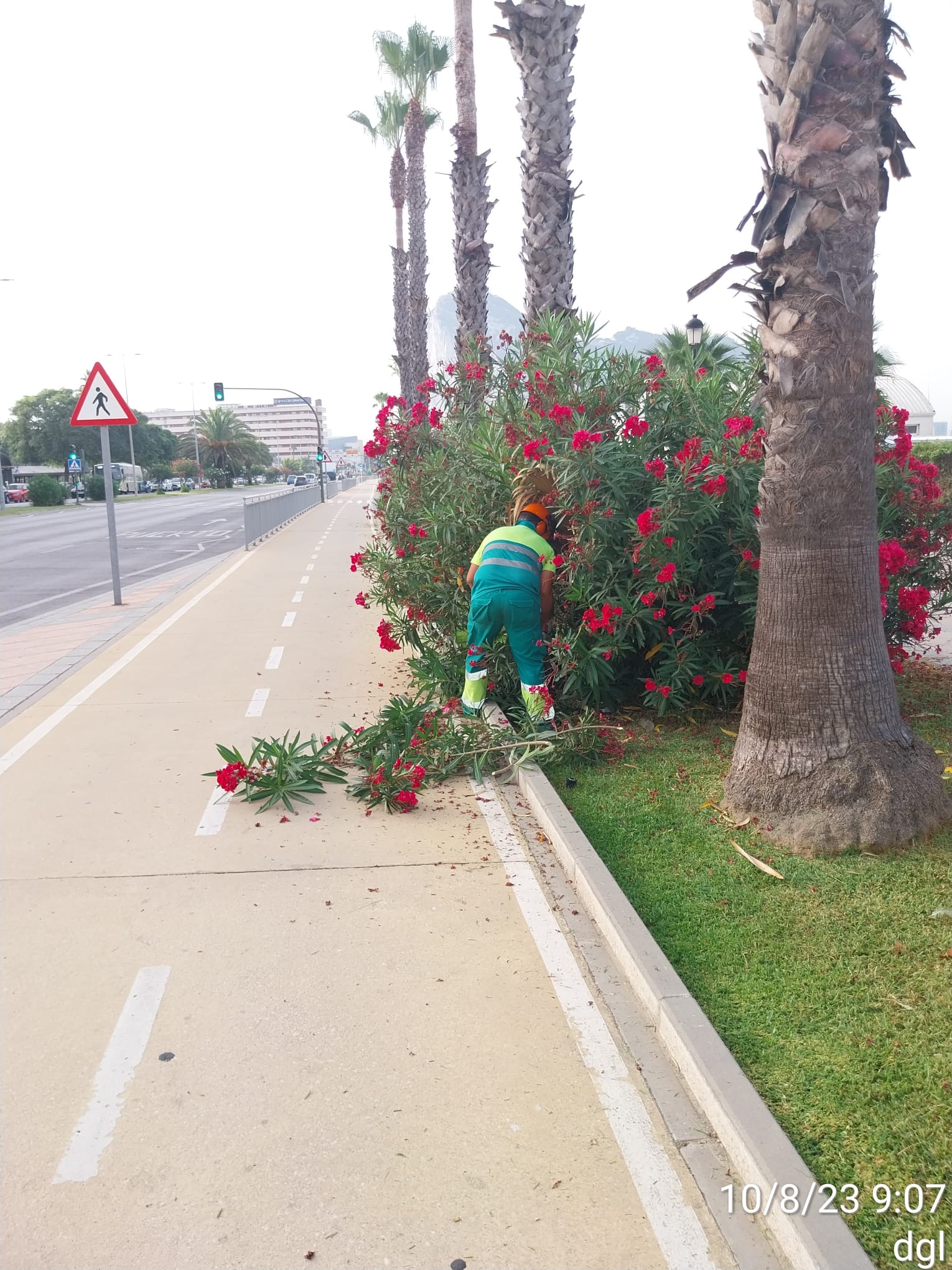 PARQUES Y JARDINES 2